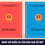 Có cần chuẩn bị Sổ đỏ khi làm thủ tục nhập khẩu hay không? Có cần chuẩn bị Sổ đỏ khi làm thủ tục nhập khẩu hay không?