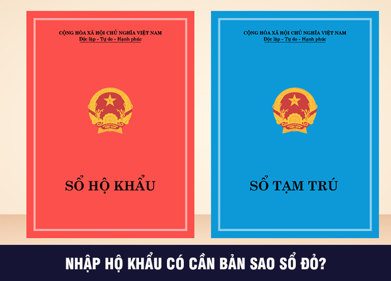 co-can-chuan-bi-so-do-khi-lam-thu-tuc-nhap-khau