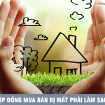 Hợp đồng mua bán nhà ở bị mất phải làm sao?