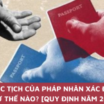 Quốc tịch của pháp nhân xác định như thế nào? [quy định năm 2023]