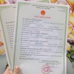 Trong giấy khai sinh không có tên cha có ảnh hưởng gì không? Trong giấy khai sinh không có tên cha có ảnh hưởng gì không?