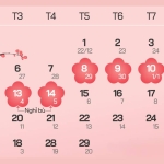 Lịch nghỉ Tết Nguyên đán 2024 Lịch nghỉ Tết Nguyên đán 2024