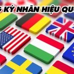 Trình tự, thủ tục đăng ký nhãn hiệu quốc tế Trình tự, thủ tục đăng ký nhãn hiệu quốc tế