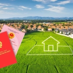 Kiểm tra thời hạn sử dụng đất đơn giản theo hướng dẫn Kiểm tra thời hạn sử dụng đất đơn giản theo hướng dẫn