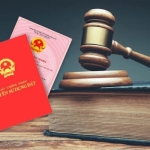 Cơ quan nào cấp sổ đỏ lần đầu? Những lưu ý không thể bỏ qua Cơ quan nào cấp sổ đỏ lần đầu? Những lưu ý không thể bỏ qua