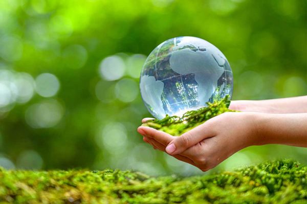 ủy quyền trong lĩnh vực bảo vệ môi trường