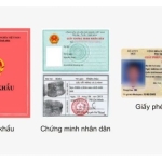 Công chứng giấy tờ định cư, du học – Cần chuẩn bị hồ sơ gì? Công chứng giấy tờ định cư, du học – Cần chuẩn bị hồ sơ gì?