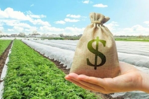 Mua đất nông nghiệp: Những hạn chế pháp lý cần biết