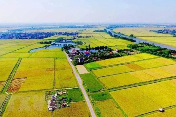 Ủy quyền đất nông nghiệp Điều kiện và hạn chế