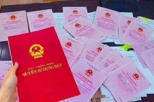 dịch vụ sổ đỏ