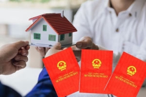 Dịch vụ sổ đỏ