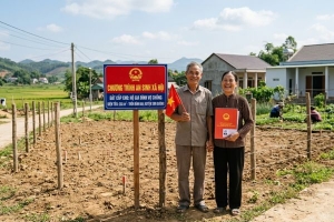 Đất được cấp từ chương trình an sinh xã hội cho vợ chồng