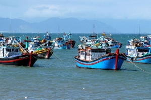 Mua bán tài sản là tàu thuyền đánh cá