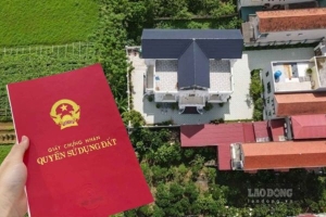 cho thuê đất hộ gia đình