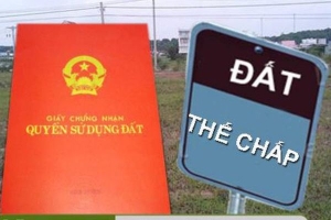thuê đất đang thế chấp