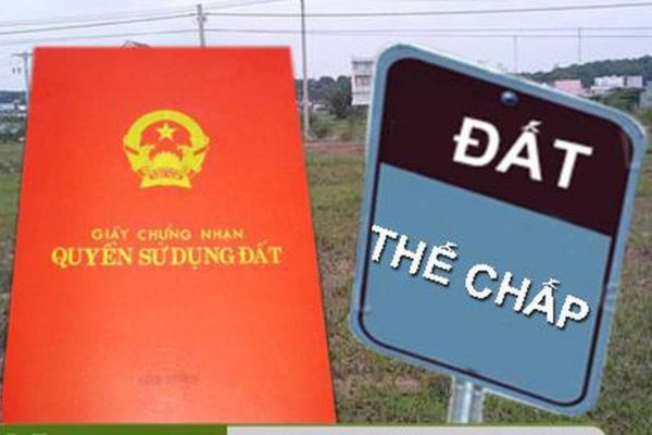 thuê đất đang thế chấp